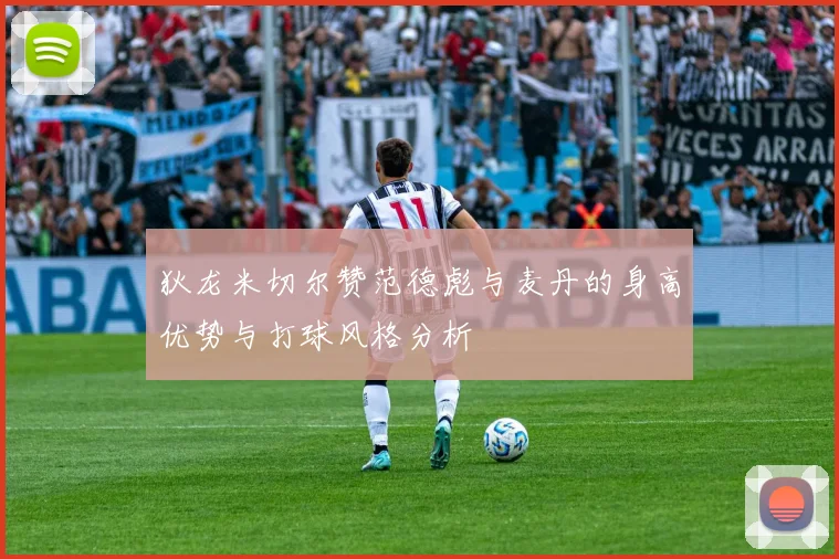 狄龙米切尔赞范德彪与麦丹的身高优势与打球风格分析